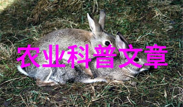 农业科普小知识_农业科普文章_科普类的文章