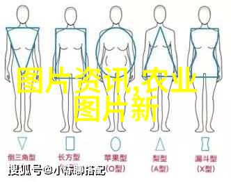 15公分白蜡树价格探究园艺爱好者的心头话题