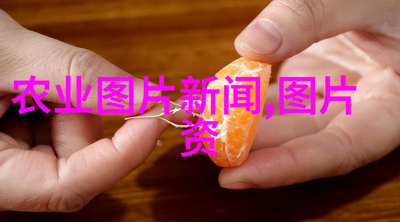 深度探究泥鳅养殖技术的艺术与实践