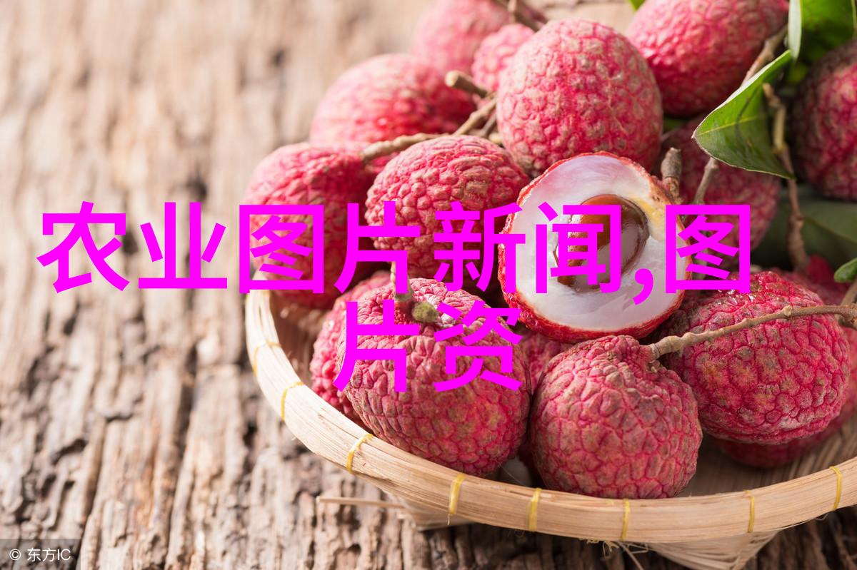 园艺百科-栽培秘籍100种水果种子小盆栽的成功指南
