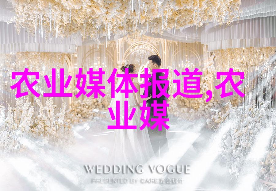 法律百科全书解密法律知识的宝库