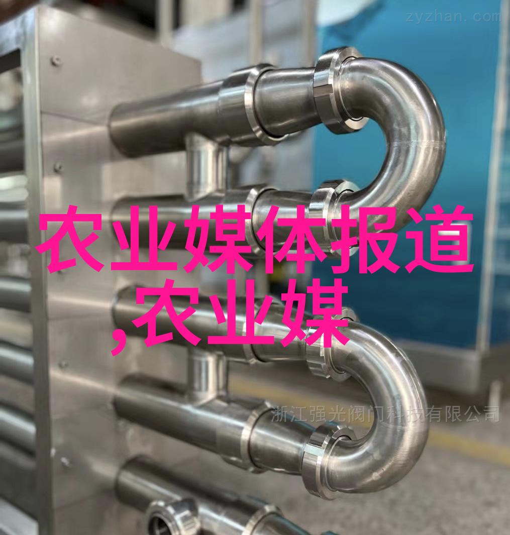 家居美化-10种最旺家的绿植让您的生活更有活力