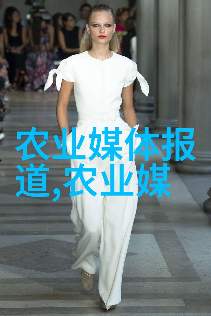 凉皮机背后的科技它们是如何制造出如此诱人的凉皮的