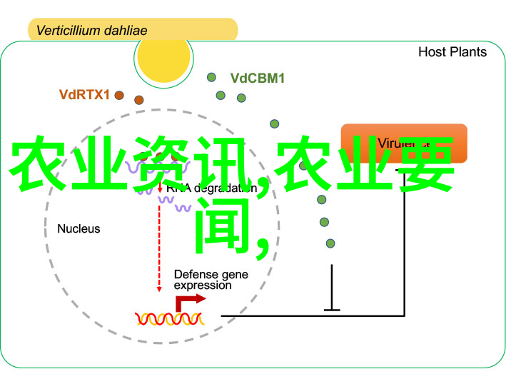 火焰与铁甲的故事消防车的传奇之旅