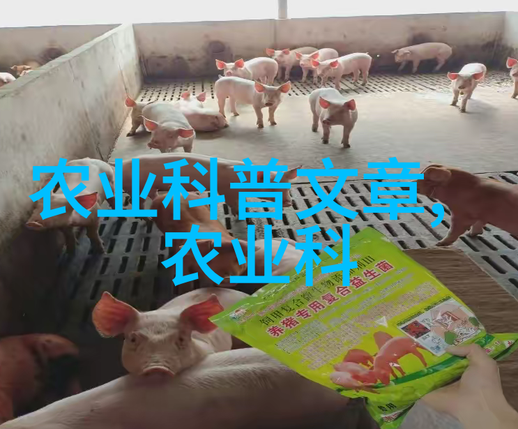 种植什么比较有前景我来告诉你一个超级有钱的秘密种健康果蔬