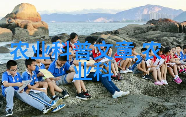 奇幻冒险-第七颗头骨解锁古老文明的秘密