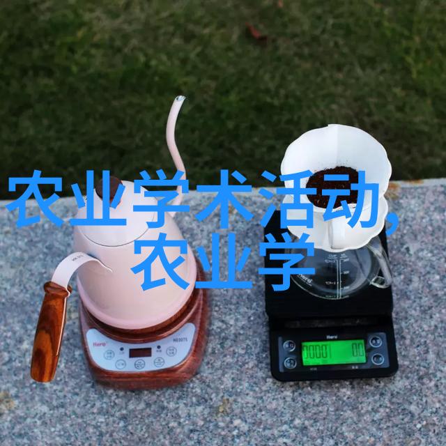 千头椿新贵浅析10公分品种在市场上的竞争力与价格定位