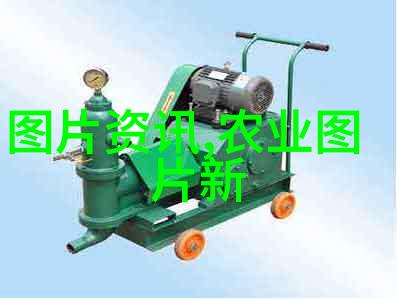 羊毛与梦想揭秘养50头羊一年纯利润的数字