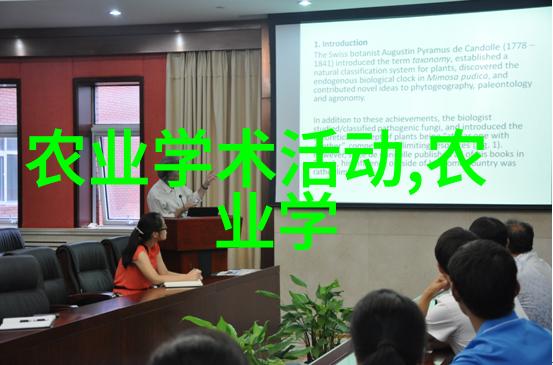皮带输送机的秘密它们是如何在背后默默工作的