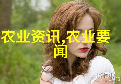 政策解析国家新政指南
