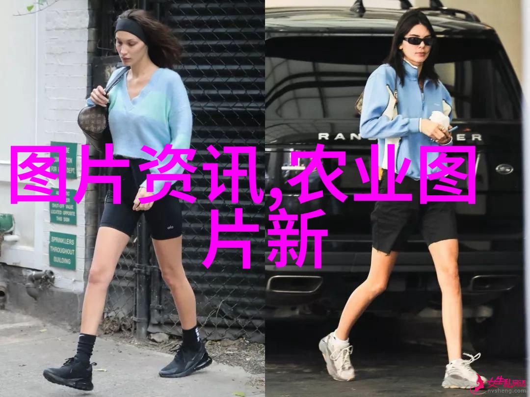 未来财务规划分析10月年底前后的公积金转移趋势