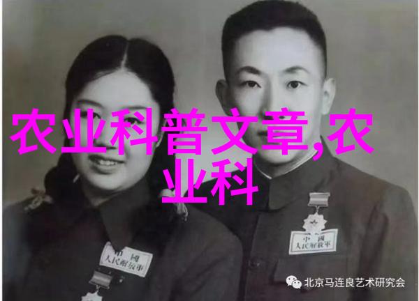 秋季香菇大丰收市场价格逐渐回落的背后故事