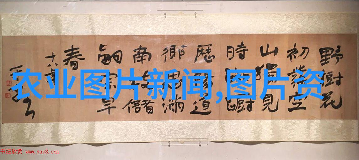 国际援助如何缓解缅甸战乱地区的人道主义危机