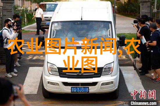 家园中的草本医生适合家庭种植的中药材