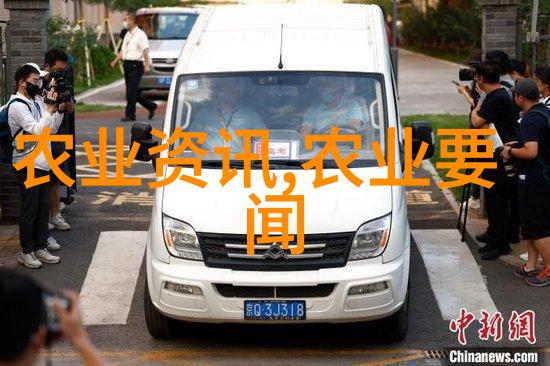 蔬菜网我是怎么在网上找到新鲜蔬菜的