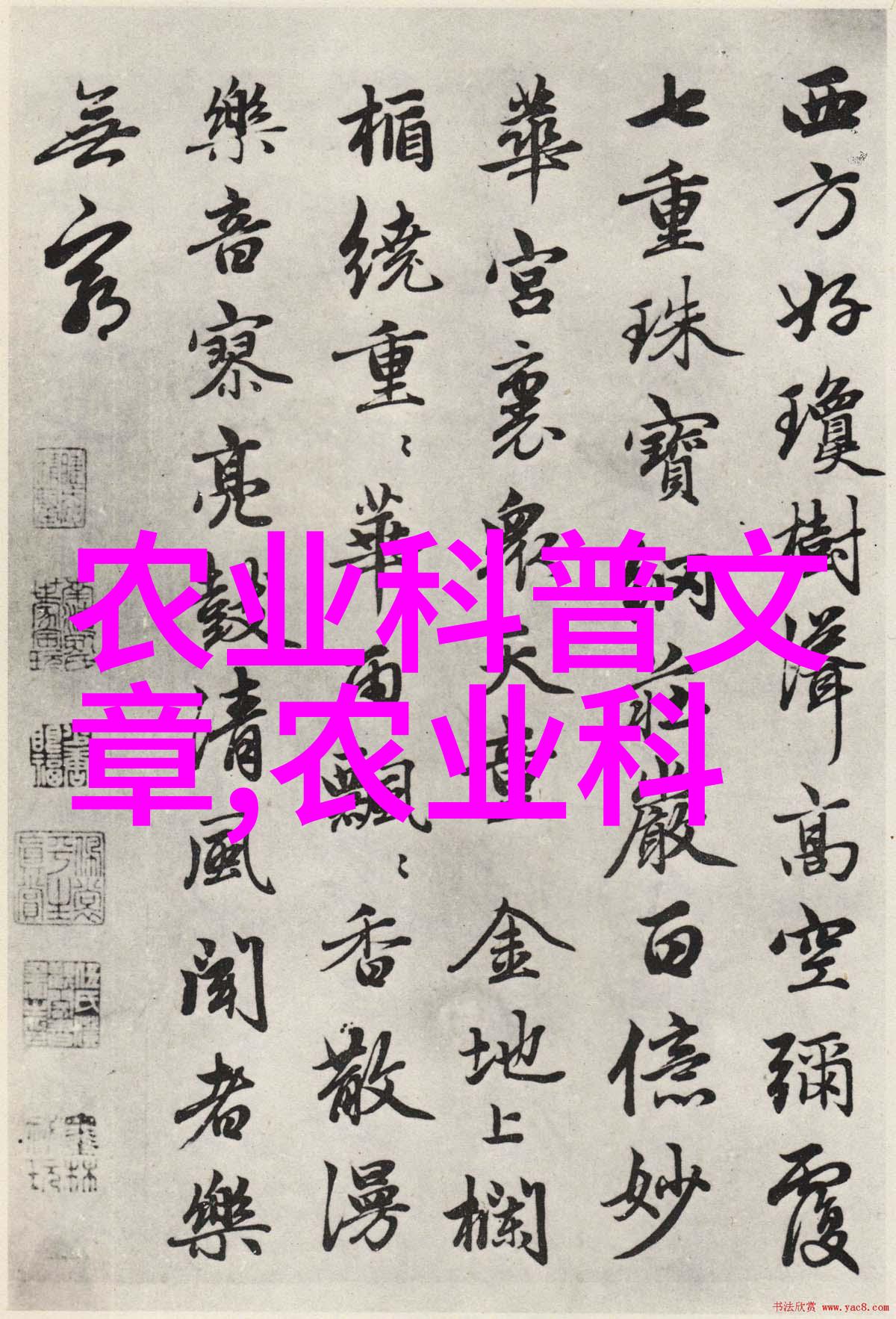 中药材价格一览表2022查询市场动态背后的秘密有哪些