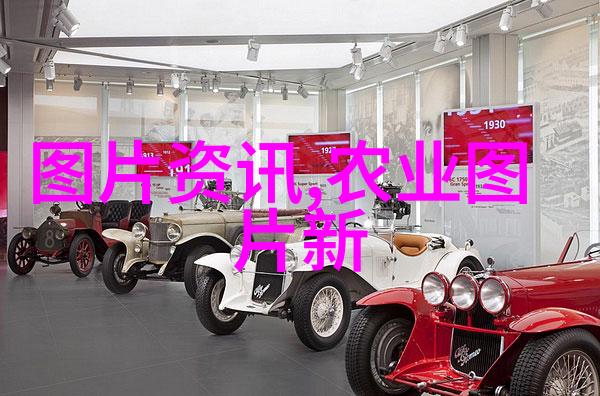 中国法律知识我是如何在一场偶然的酒吧聊天中学会的