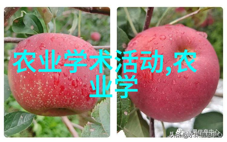 农产品行情网绿色丰收的智慧链条
