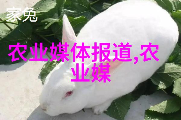 水利水电技术我是如何用滴水穿石的智慧解决乡村供水问题的