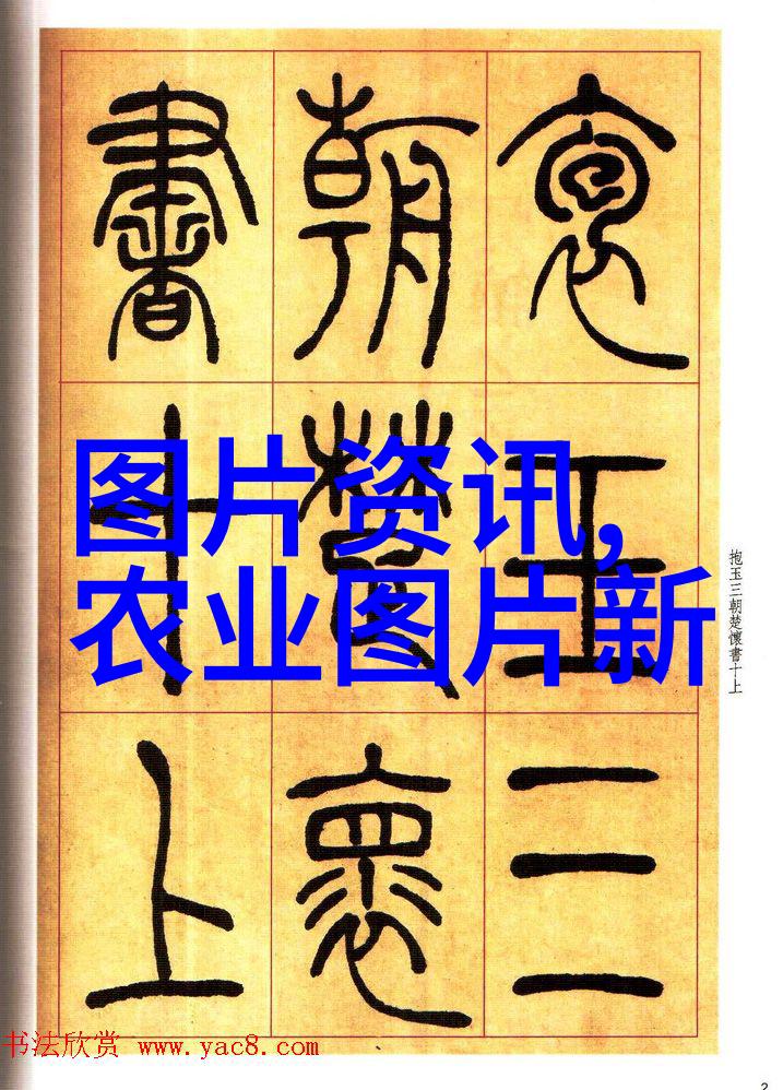 蔬菜的绿意盎然无土大棚种植之美妙过程