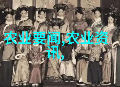 蔬菜之谜寻找那片神秘的货源地