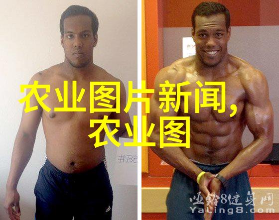 蜜蜂的三大敌手揭秘它们最害怕的事物