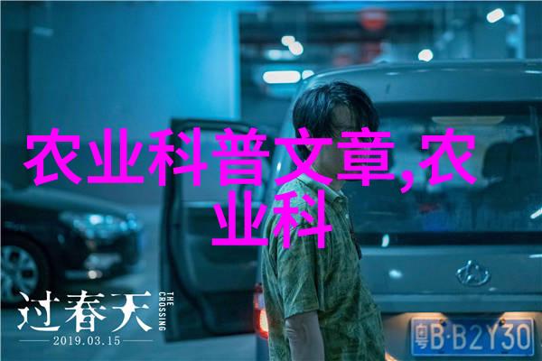 岁月静好银杏树下绘风华