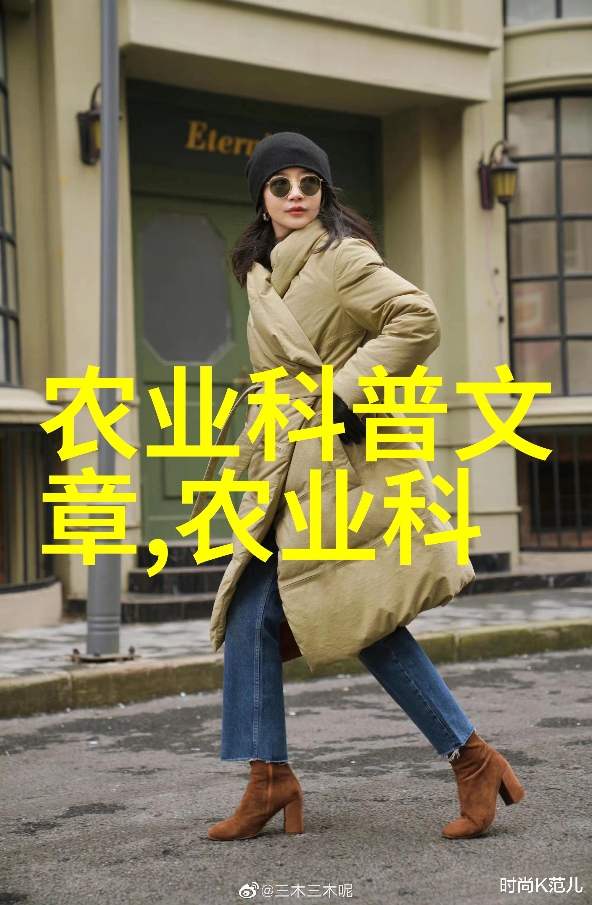 沉默的药园中药材种子交易网之谜