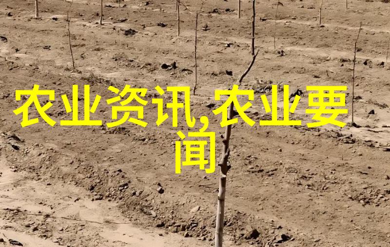 秋冬季蔬菜种植技巧与选择