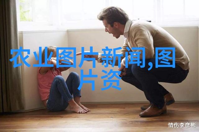 农机时代的新宠高效吸粮机改变了农业收获方式