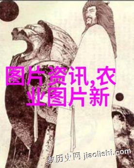 各地药材种植补贴政策对比分析助力农民增收