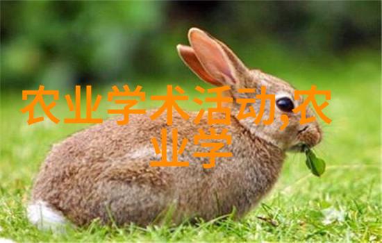 农业资讯-新时代农场管理科技与生态融合的未来