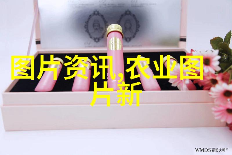小蜜蜂如何巧妙引导蜜蜂筑巢养殖技巧的秘诀解锁