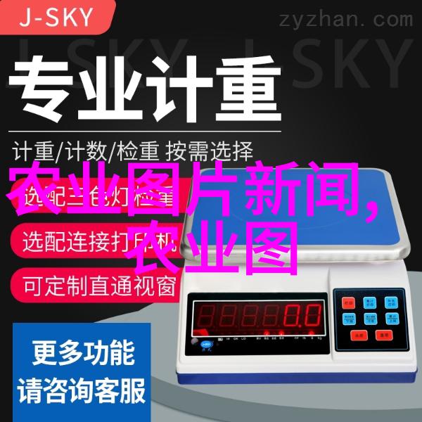 蜂群的夜晚探秘2只脾蜂一个晚上能消耗多少蜜水