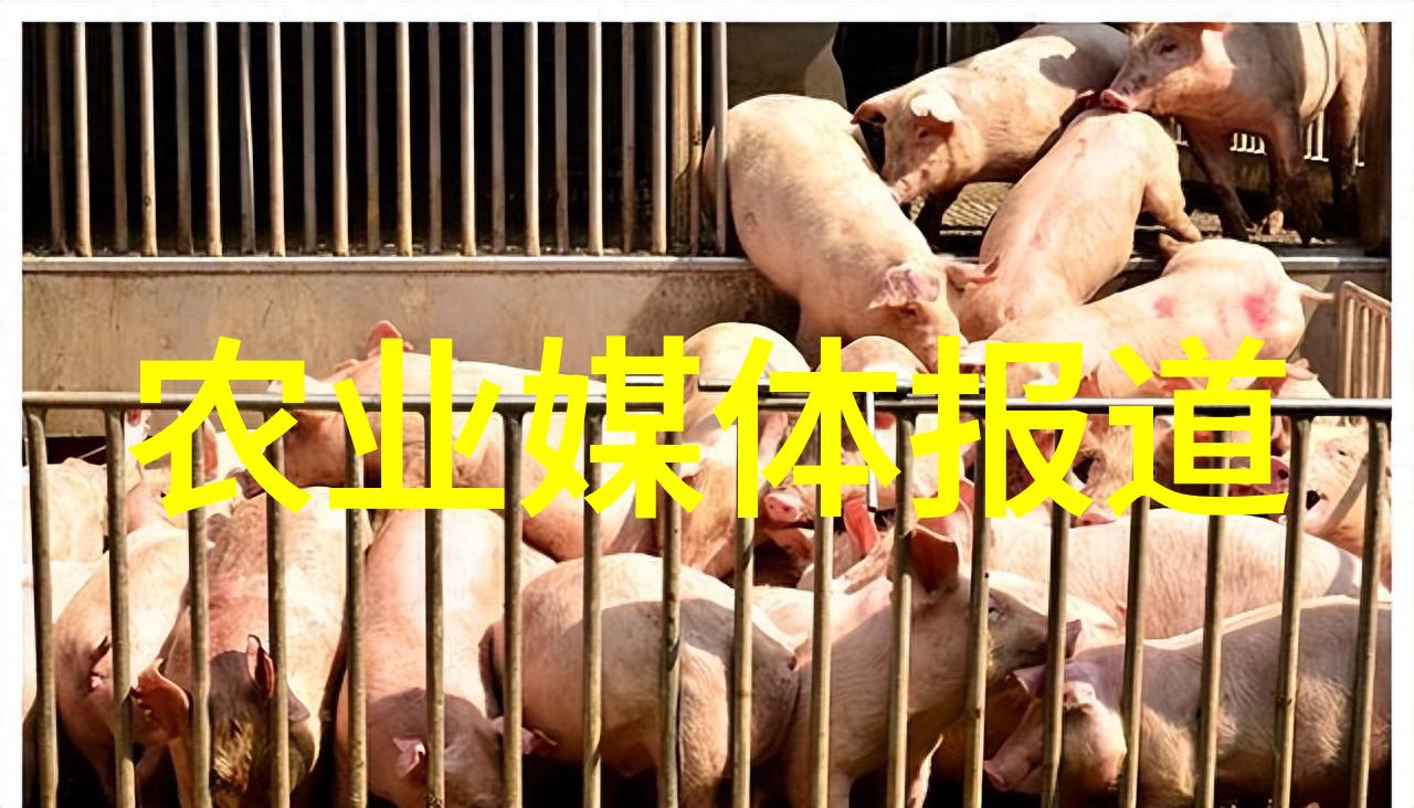 中国农药种植基地专业的种植药材培训学习地