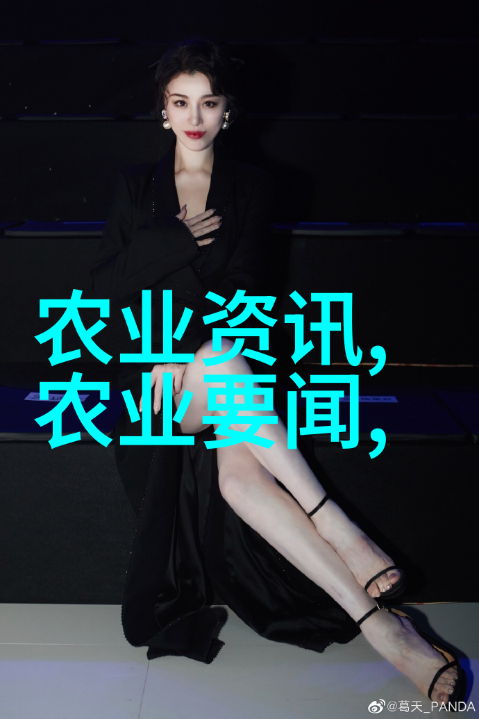 我要买冬青12公分冬青小盆栽价格不打折