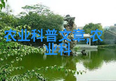 养蜜蜂的技巧和方法我来教你怎么搞定这点小忙