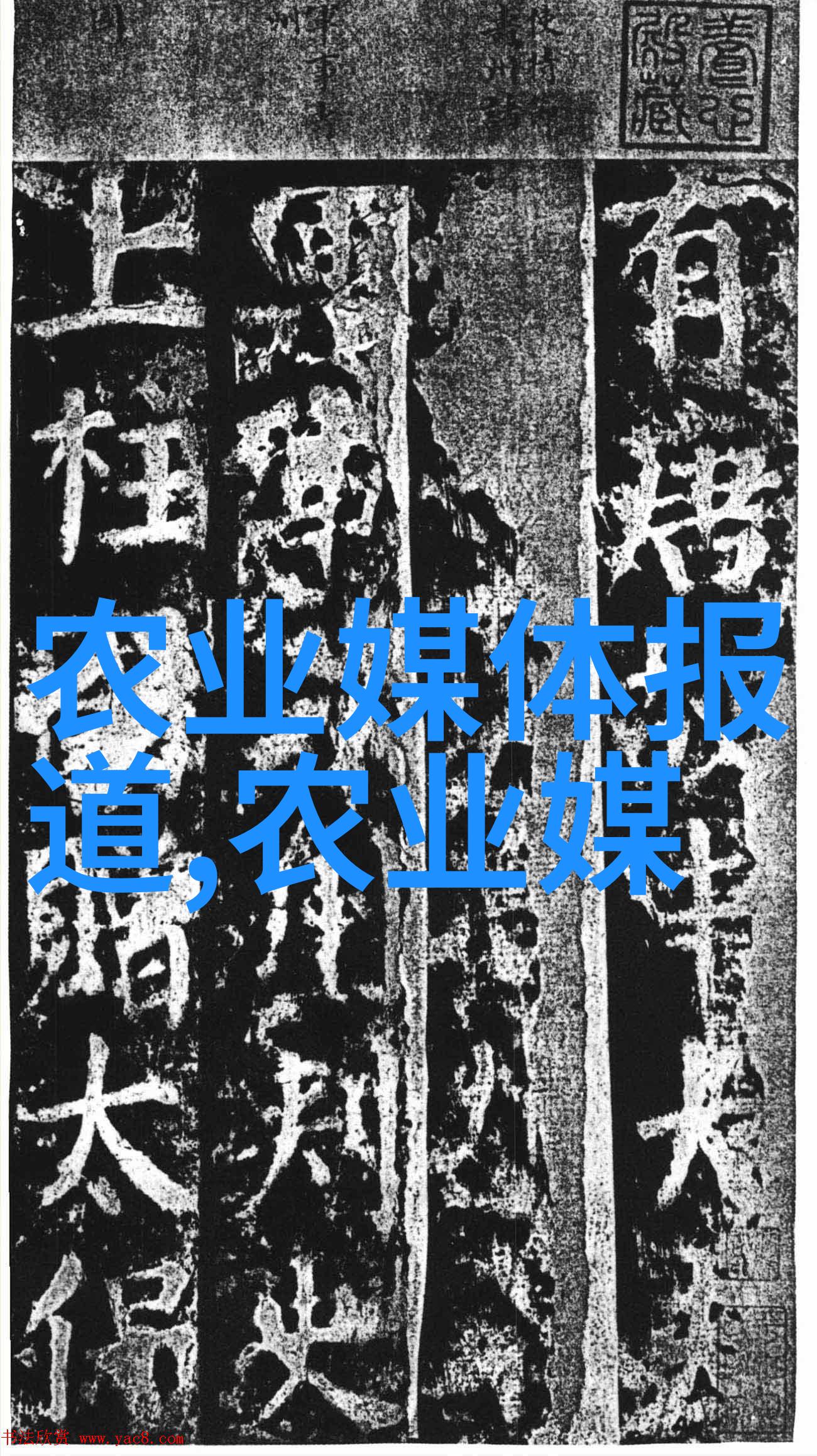 机器的柔情与包装的诗意一场工业美学的奇遇