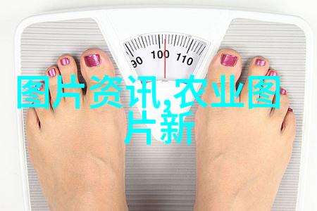 温暖的怀抱揭秘不出来的背后故事