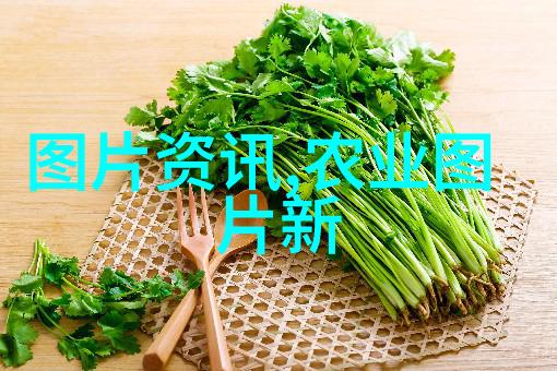 春意盎然种花种子的技巧与细节