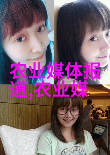 盆栽植物如何帮助改善室内空气质量