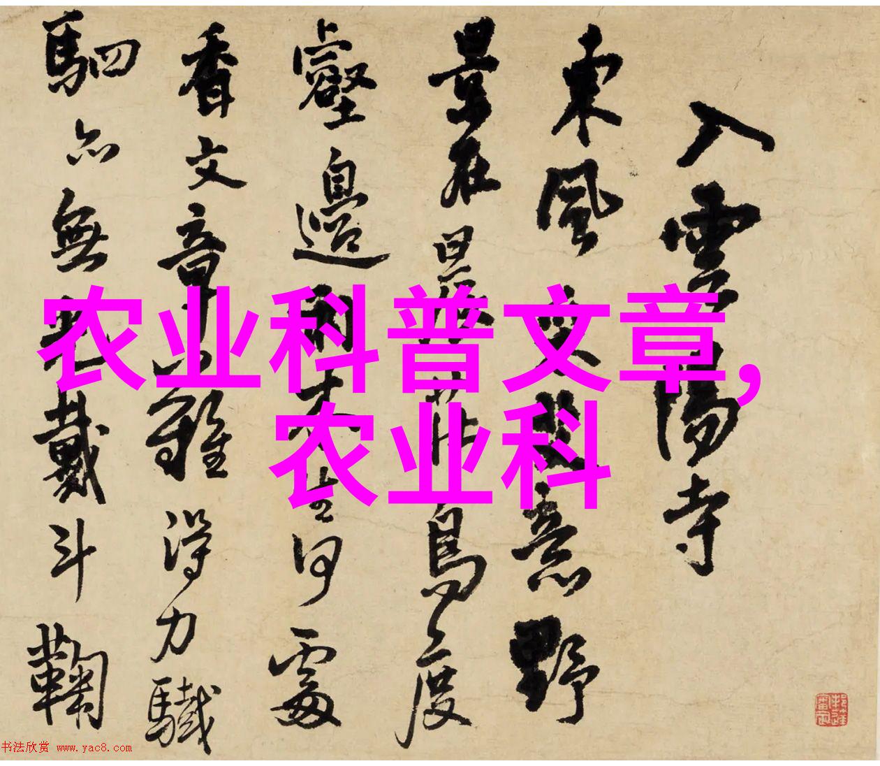 和牛犊牛共享育儿智慧助小尾寒羊成长为金矿