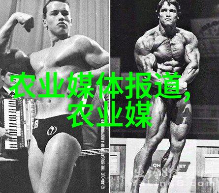 茶的文化演变从古代到现代的茶艺探究