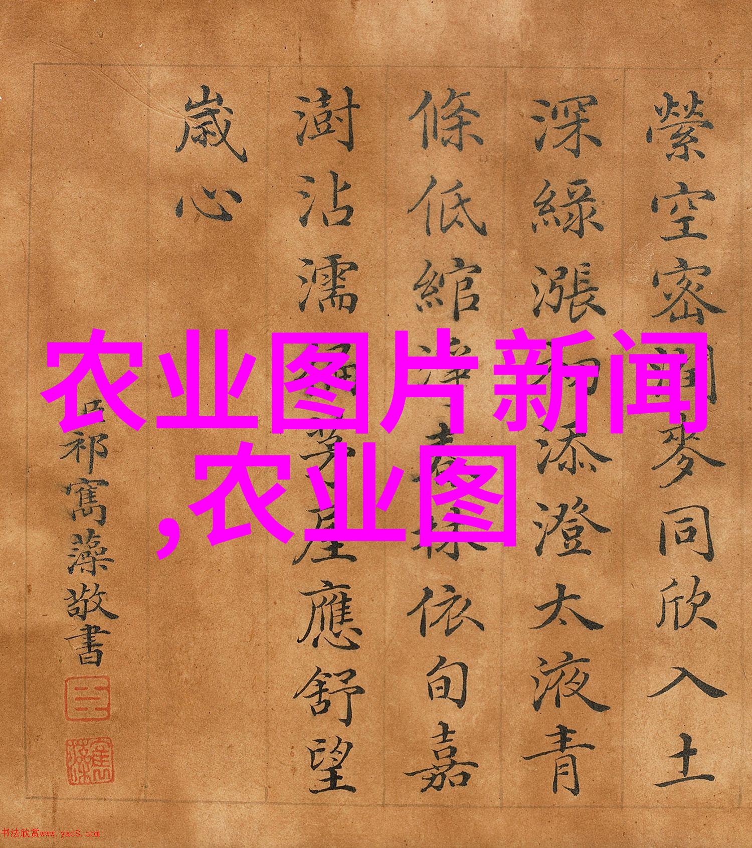 新鲜出炉的花草茶这个月份推荐尝试哪些新鲜花卉作为配料