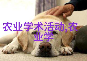 专家提醒避免在卧室摆放植物的原因