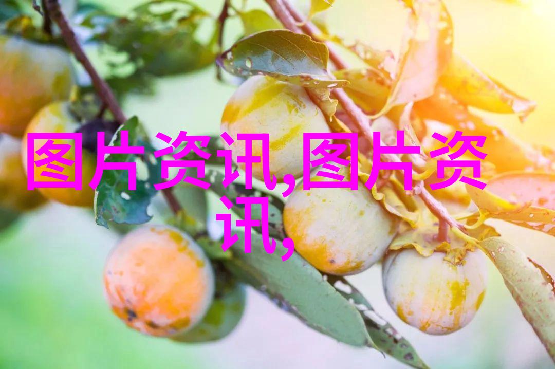 繁花似锦的寂寞果实