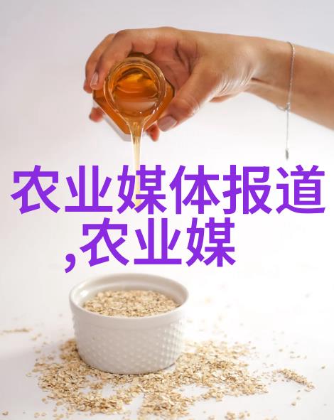 传统与现代相结合探索玉米种植中的创新方法