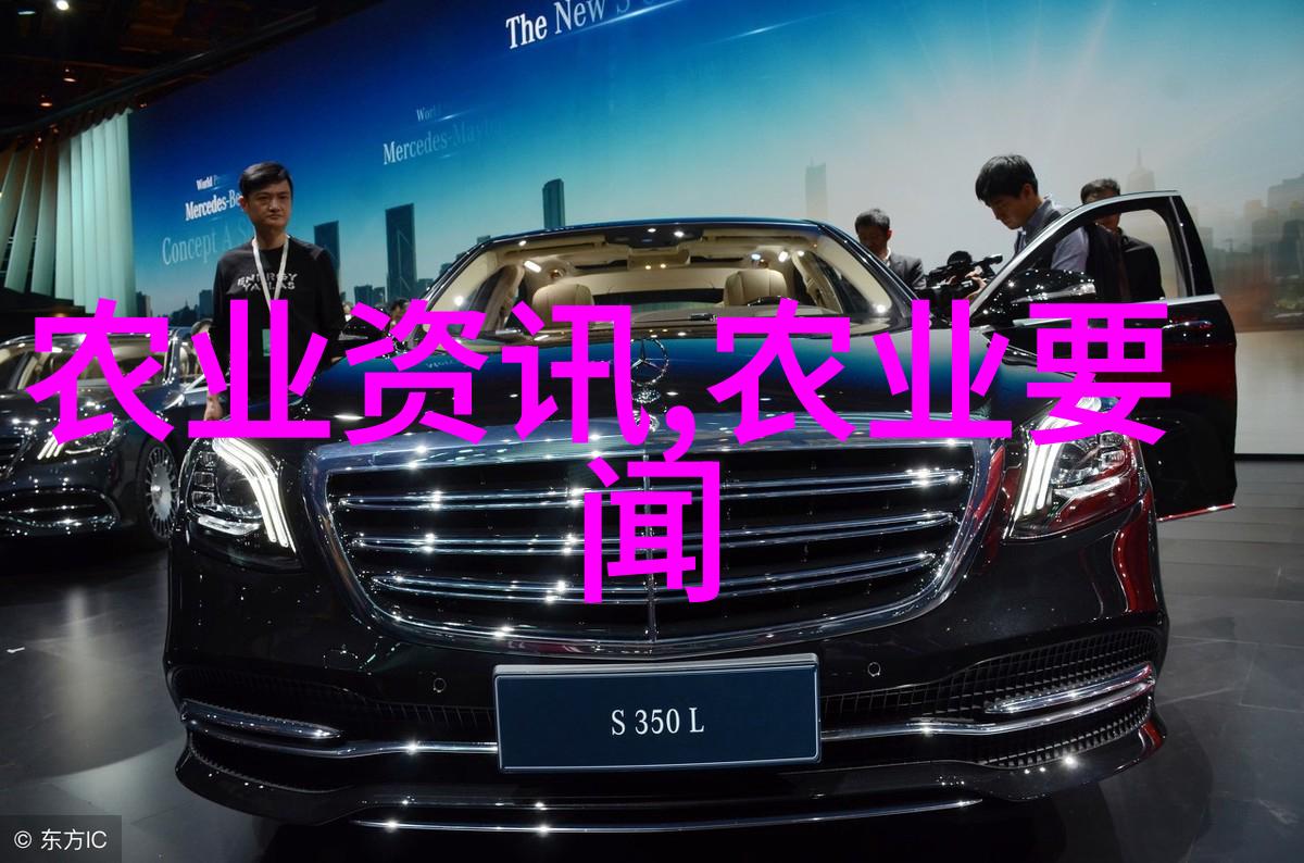 教师品格与教学风范的新标准2022师德师风十项准则解读与实践