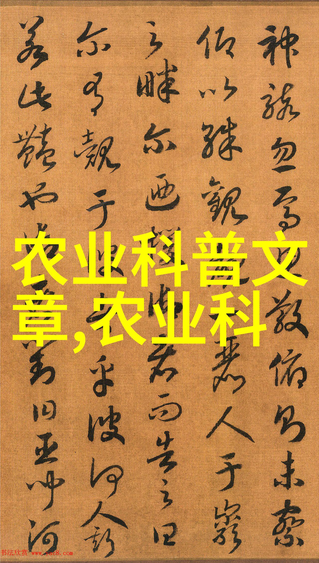 狂欢一家父母儿子共同的欢乐时光
