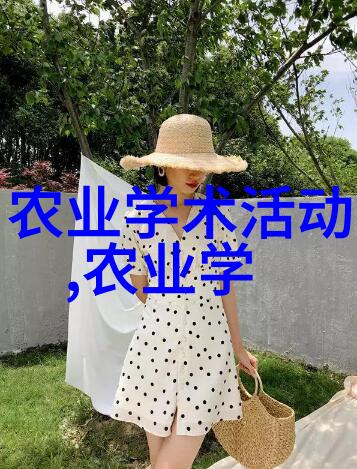 蜜蜂的黄金法则引领你走向成功养蜂之旅